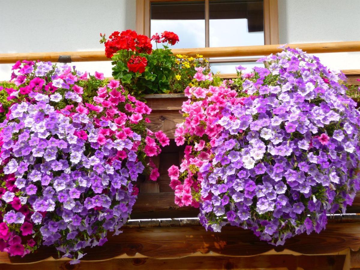 Ferienwohnung Huberhof Oberndorf in Tirol Ngoại thất bức ảnh